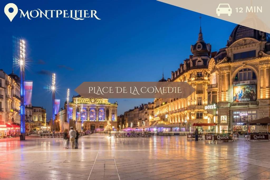 041 - Studio Le Chateau D'O, Appart 4Pers, Parking, Proche Faculte De Medecine 몽펠리에 외부 사진