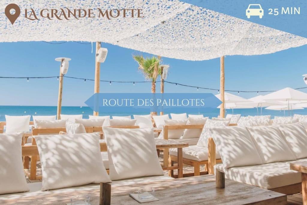 041 - Studio Le Chateau D'O, Appart 4Pers, Parking, Proche Faculte De Medecine 몽펠리에 외부 사진